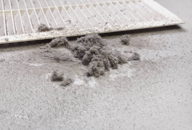 Best Affordable Duct Cleaning Services  in Wills Point, TX