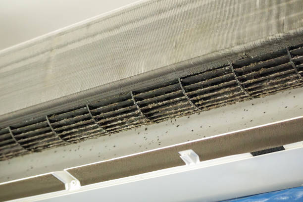 Best Air Duct Sanitizing Services  in Wills Point, TX